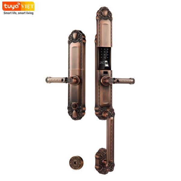Khóa cửa vân tay cổ điển Tuya OC666