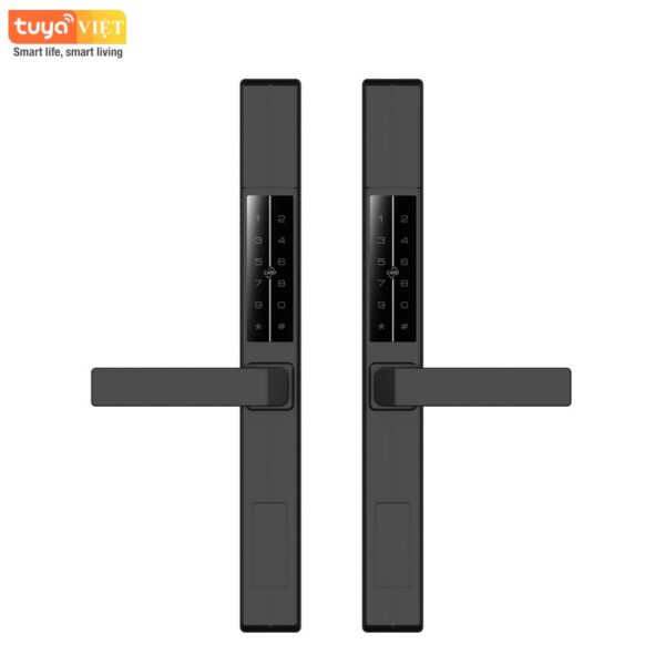 Khóa cửa vân tay 2 mặt Tuya DS003