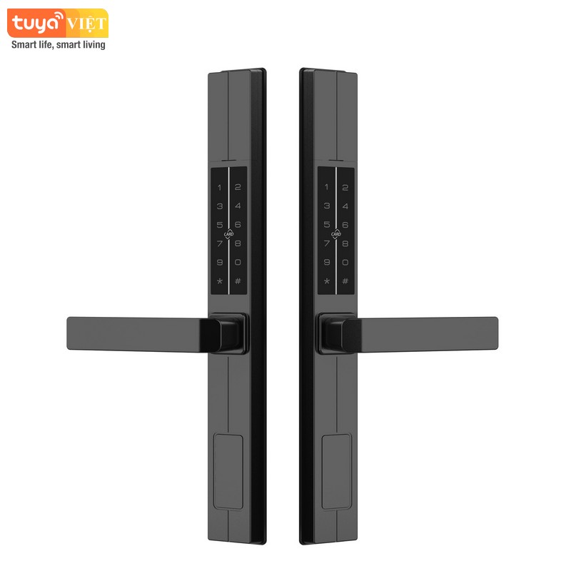 Khóa cửa vân tay 2 mặt Tuya DS003 - Ảnh 2