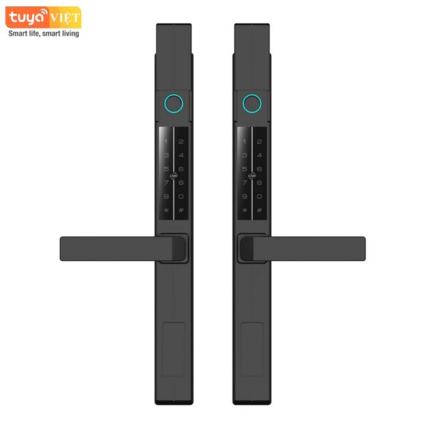 Khóa cửa vân tay 2 mặt Tuya DS003