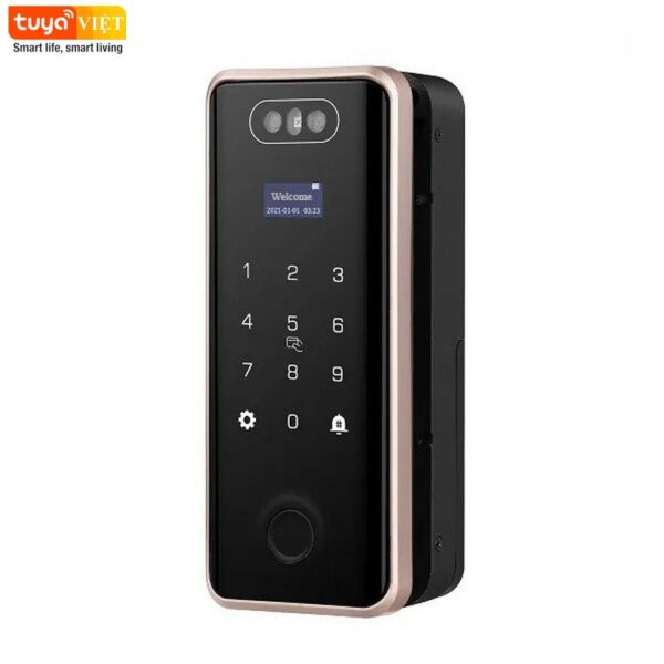 Khóa FaceID cho cửa kính Tuya GL08F