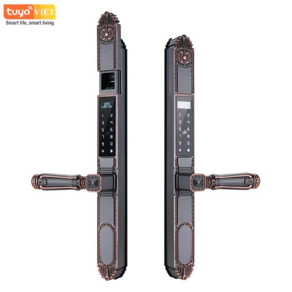 Khóa vân tay 2 mặt Tuya OC555