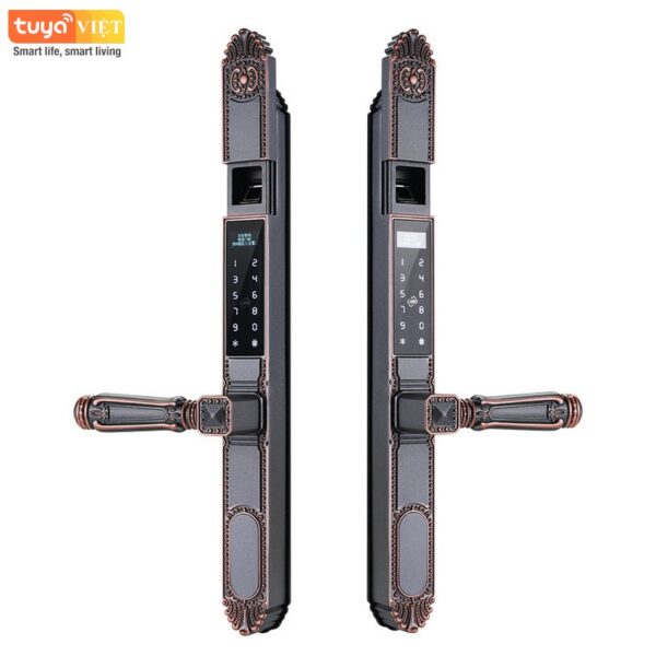 Khóa vân tay 2 mặt Tuya OC555