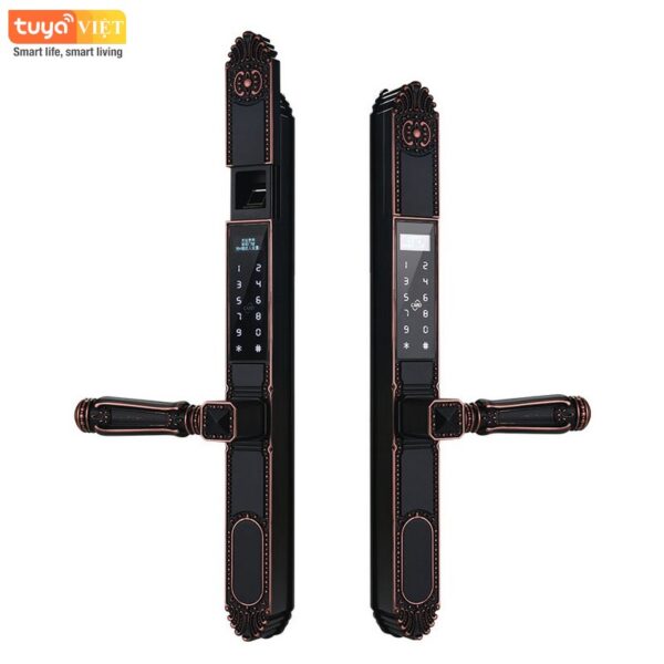 Khóa vân tay 2 mặt Tuya OC555