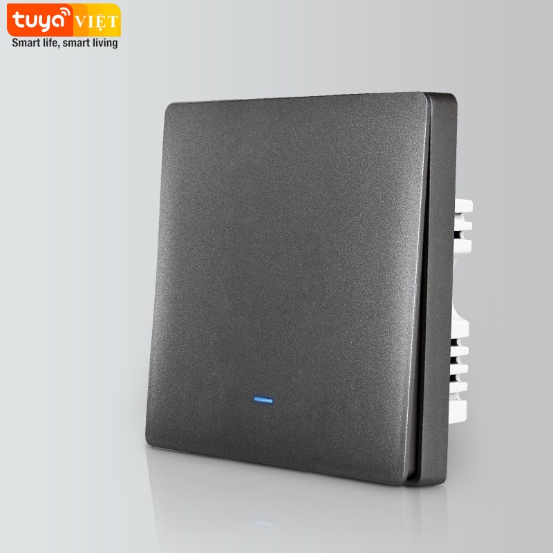 Công tắc thông minh Tuya SW02-UK-1G - Ảnh 3