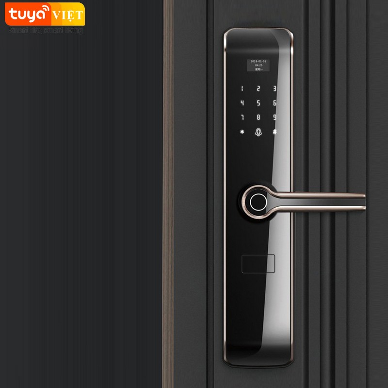 Khóa vân tay Tuya WM003 (Zigbee / Wifi) - Ảnh 2