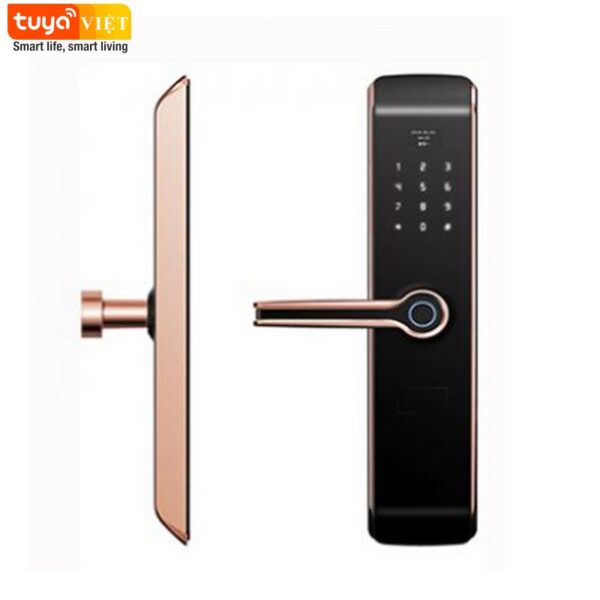 Khóa vân tay Tuya WM003 (Zigbee / Wifi)