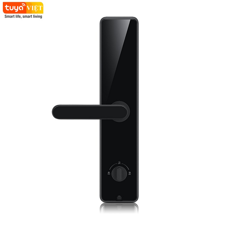 Khóa cửa vân tay Tuya WM06 (Sơn phủ IML) - Ảnh 5